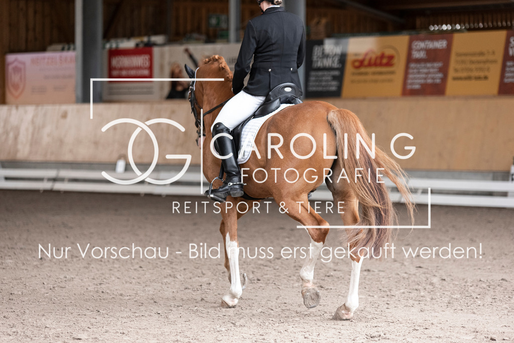 DSC_4432 | Turnierfotografin Carolin Gieschke, Turnierfotografie Carolin G Fotografie, Turnierfotos Kirchheim/Teck, Esslingen, Stuttgart, Bodenseekreis