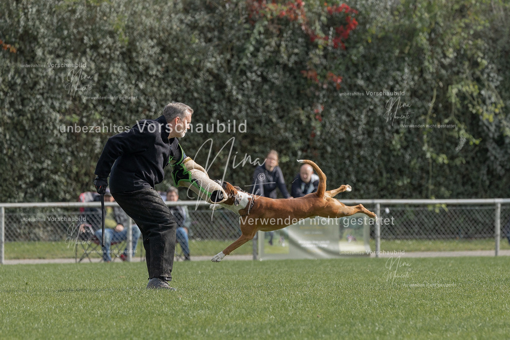 _16A5391 | Einzigartige Fotos von Hunden & Menschen –Actionfotos, Portraits, Vereinsaufnahmen & Paarshootings – authentisch, lebendig & mit Herz.