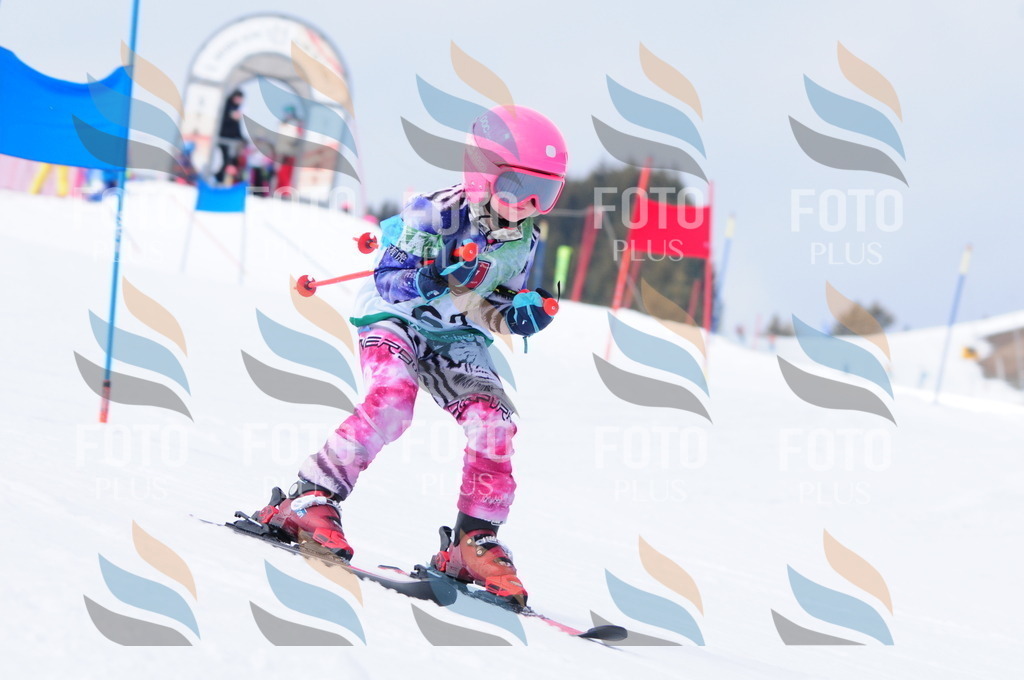 A3618 | holidayphoto