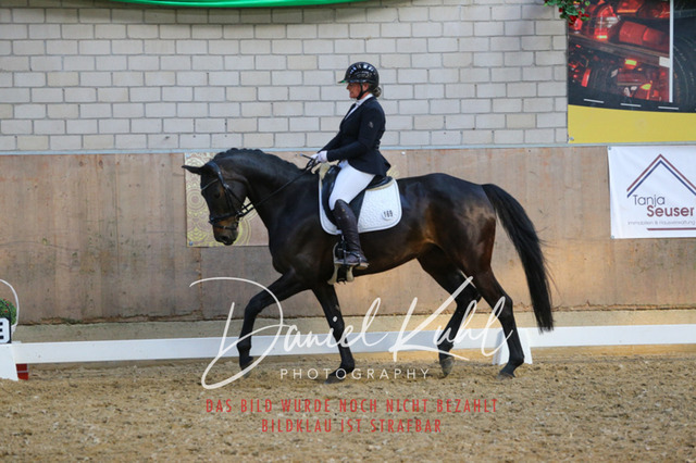 IMG_2634 | Turnierfotos kaufen im Webshop von Daniel Kuhl Photography – entdecke professionelle Reitsportfotos aus Turnieren & Events. Hochwertige Turnierbilder online bestellen & sichern. Jetzt Fotos von Reitsportturnieren kaufen!