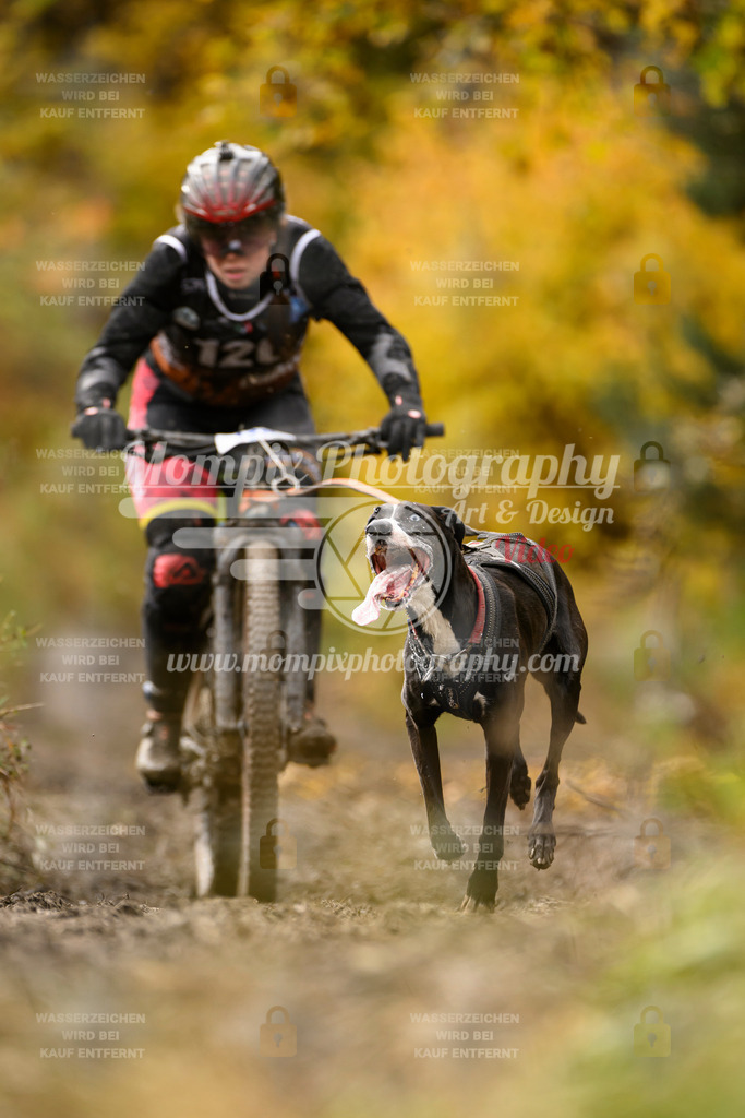 MompixPhotography_ICF_WC_2024_SA_Bike_-111 | PayLife