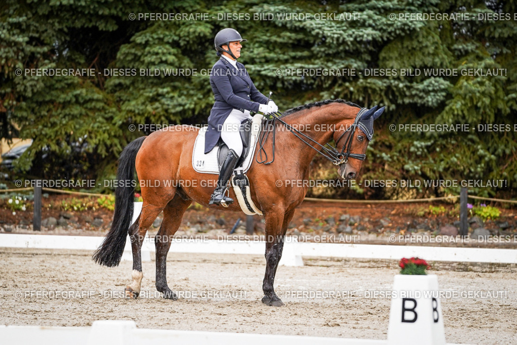 DSC09627 | Pferdegrafie