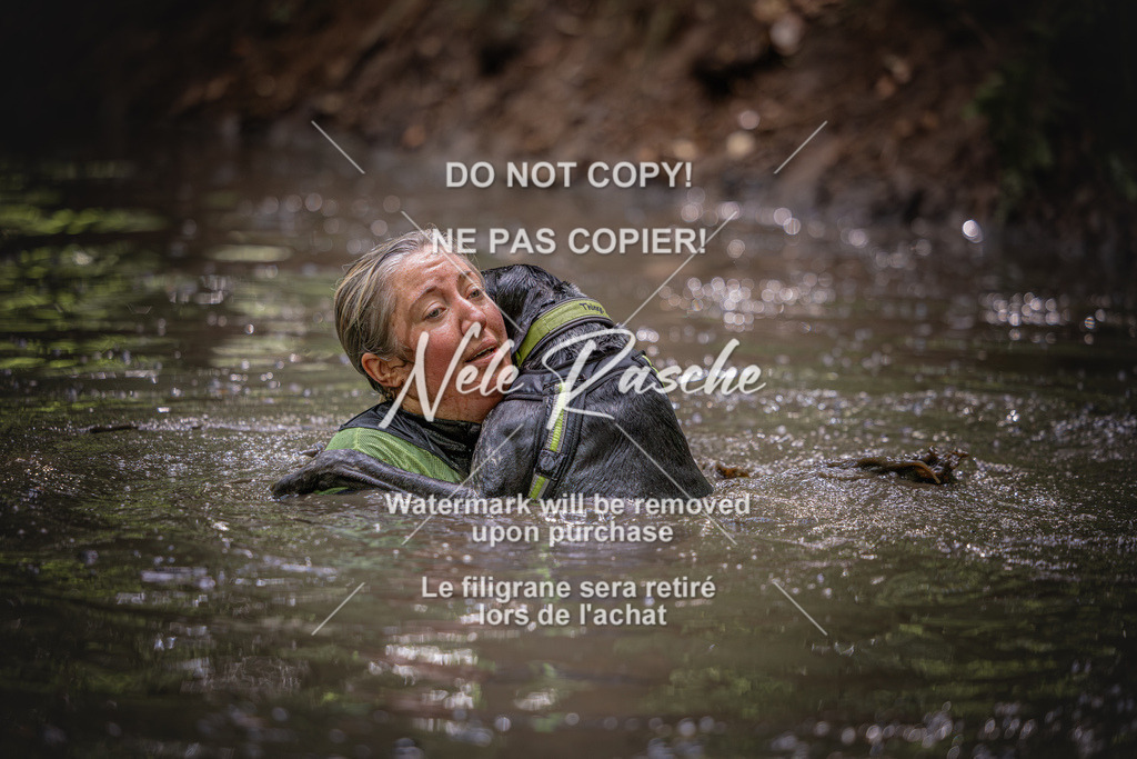 nelerasche_SaWingst1400-1500_307 | nelerasche