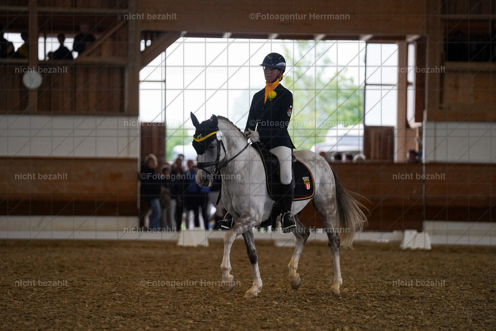 20240825-FAH08944 | Turnierbilder, Reitsportfotos, LAPO, Landesponyturnier, Turnierfotografen Bayern