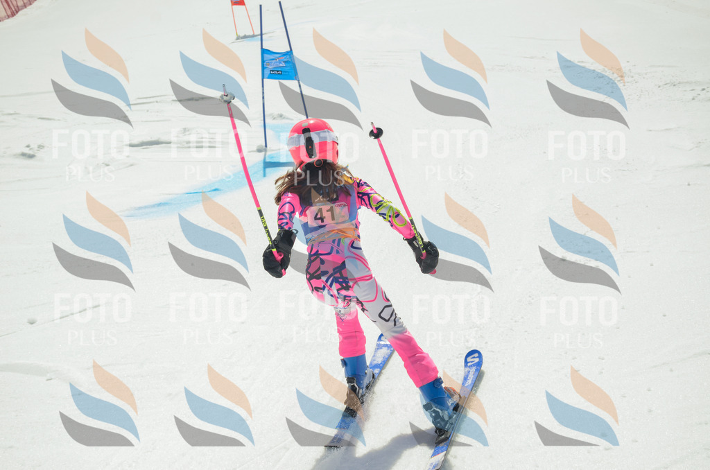 _ELE5048 | holidayphoto