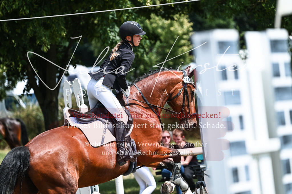 DSC_9575 | Pferde- und Turnierfotografie in Westsachsen. Pferdeportraits, Auftragszeichnungen und intuitive Kunst.