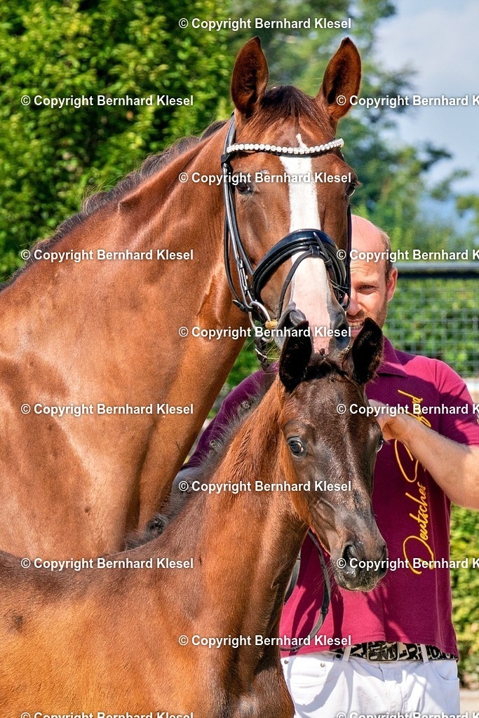 2A908825 | foto-team-bernhard - Realisiert mit Pictrs.com
