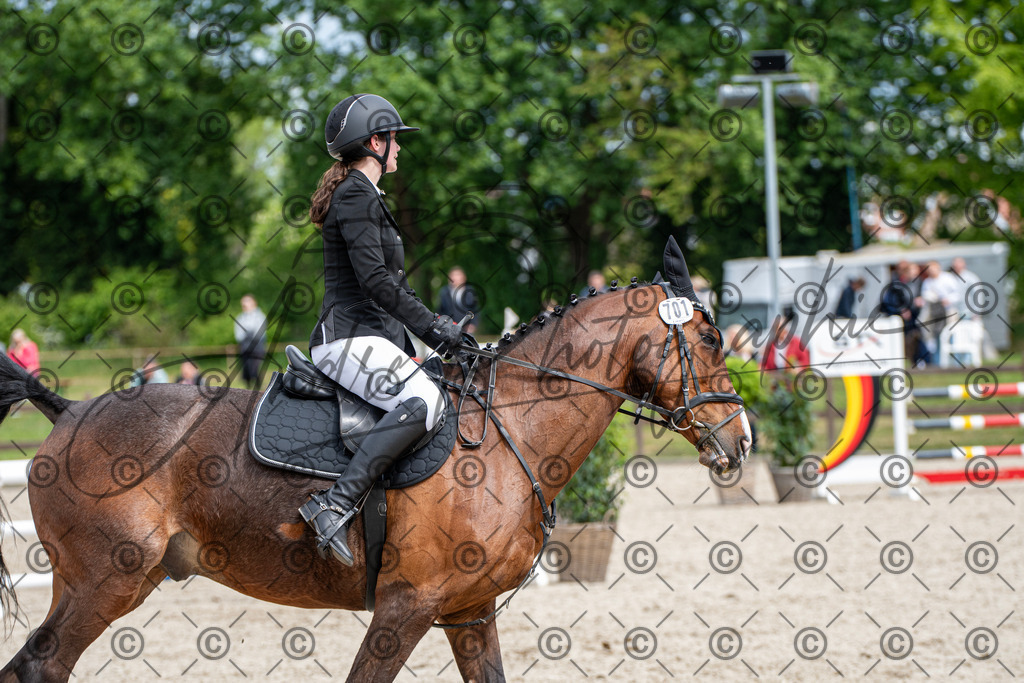 KPT_5515 | andre_photographic