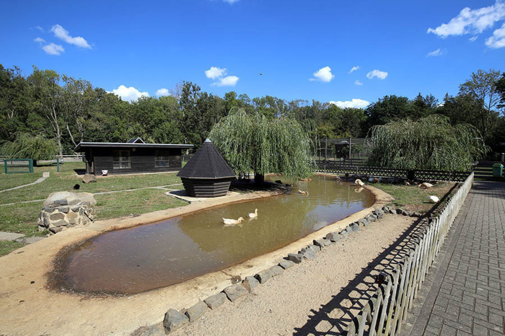 Foto: Leipzig - Haustierfarm im Wildpark Leipzig | Das Team hinter BILDLEXIKON LEIPZIG bündelt historische wie aktuelle Informationen über die Stadt Leipzig in Text und Bild auf einer Plattform und stellt diese der interessierten Öffentlichkeit zur Verfügung.