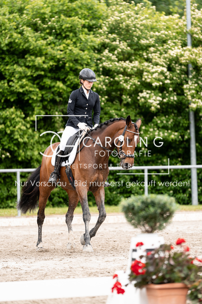 DSC08127 | Carolin Gieschke