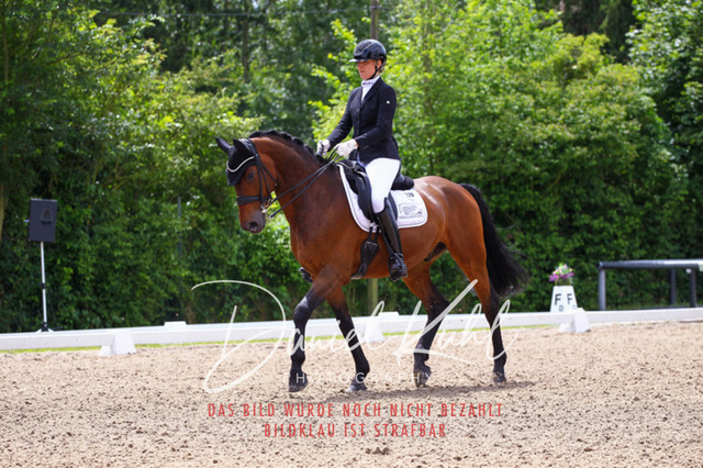 DKP41075 | Turnierfotos kaufen im Webshop von Daniel Kuhl Photography – entdecke professionelle Reitsportfotos aus Turnieren & Events. Hochwertige Turnierbilder online bestellen & sichern. Jetzt Fotos von Reitsportturnieren kaufen!