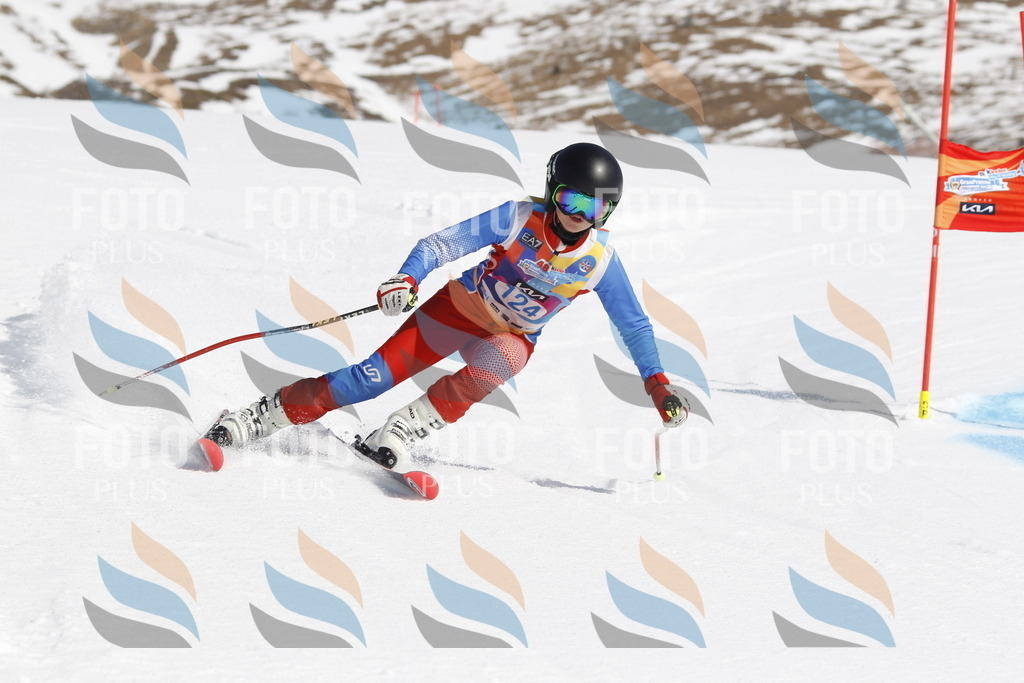 _U3G0776 | holidayphoto