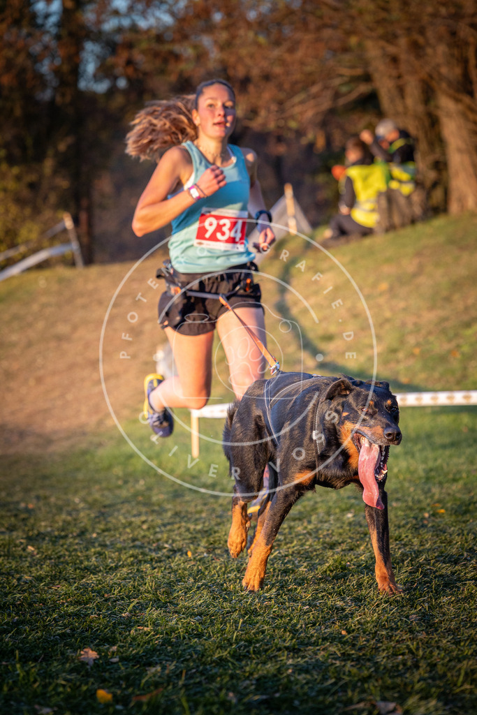 CaniXpix_0L8A1850 | Hundefotografie, Tierfotograf, Pfotenfotografie, Fotoshooting Hund, Hunde Portrait, Hundesport, Hundeportraits, Heideshooting, Hunde, Sportfotograf, Hundefotograf, Turnierhundsport, THS,  - Realisiert mit Pictrs.com