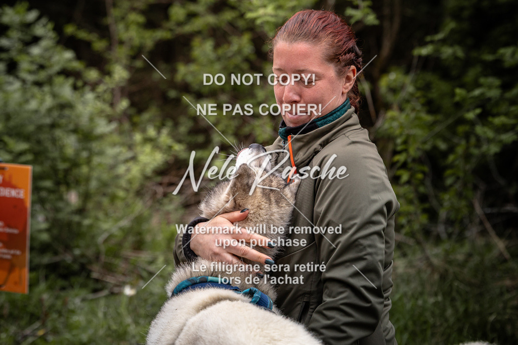 nelerasche_TheGame2026_SaRallyeO_113 | nelerasche
