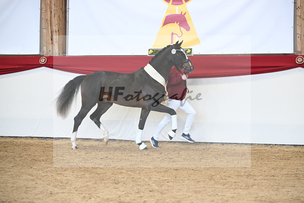 Kat.-Nr. 10 v. Chubakko_Ottmann_2251670 | hf-fotografie - Realisiert mit Pictrs.com