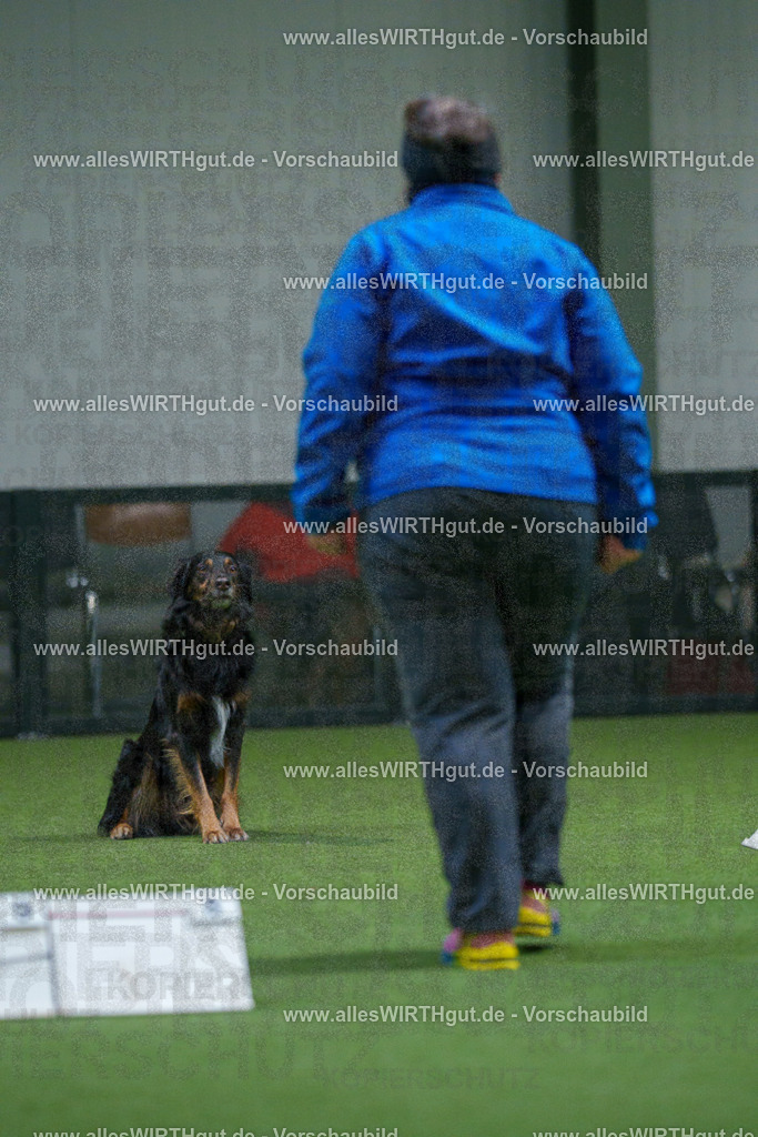 7R503987 | Professionelle Tierfotografie in Mönchengladbach von Daniel Wirth (allesWIRTHgut). Liebevolle & natürliche Bilder von Hunden & Katzen für unvergessliche Erinnerungen.