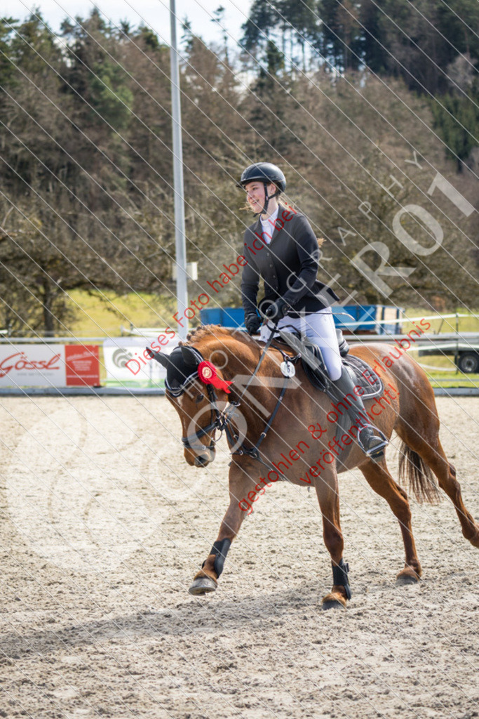 IMG_4614 | Sport-, Event- und Tierfotos in Profiqualität. Einfach auswählen, bestellen und herunterladen. Dein Moment – perfekt festgehalten.