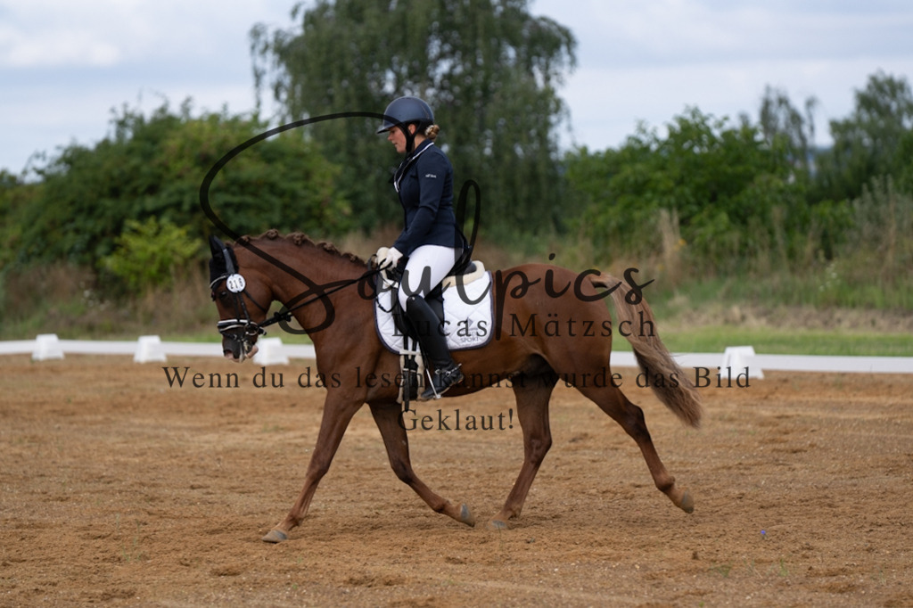 A7V03796 | Turnier/Reitfotograf