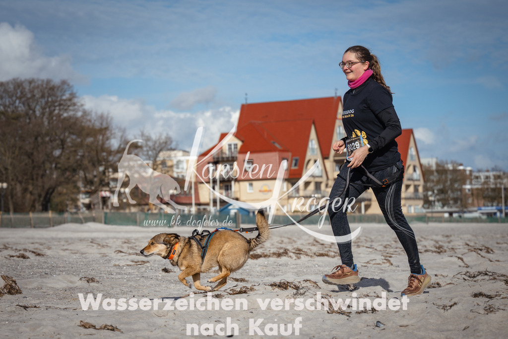 1351_ZZ93964 | kk-dogfotos