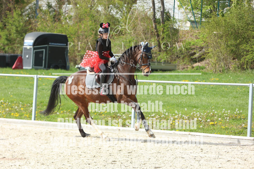 IMGM6549 | pl-fotografie