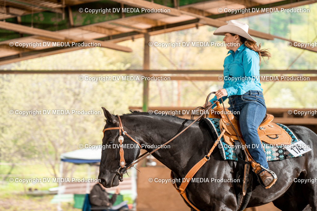 BA400344 | dv-media-shop - Realisiert mit Pictrs.com