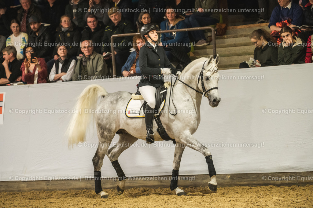 20240302_Hengstvorstellung_Marbach_TOMsPiC_1060-2 | equistock