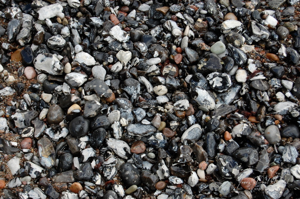 CC2E03B7-79F8-4DCB-A679-2B282B9C8A3C | Franz Podek