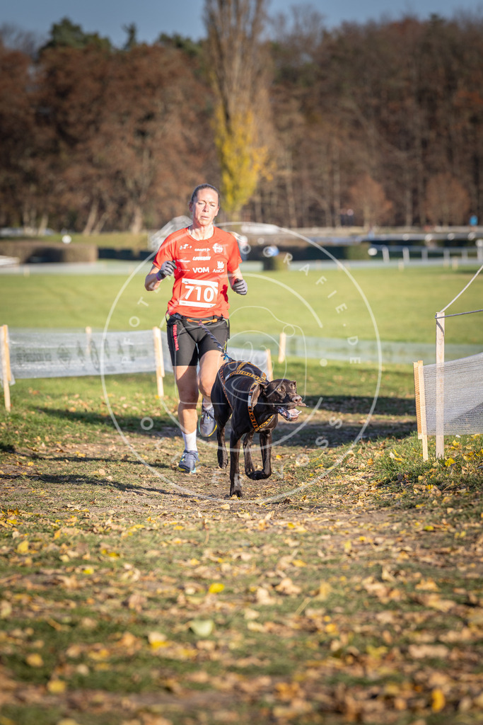 CaniXpix_DV3A1605 | Hundefotografie, Tierfotograf, Pfotenfotografie, Fotoshooting Hund, Hunde Portrait, Hundesport, Hundeportraits, Heideshooting, Hunde, Sportfotograf, Hundefotograf, Turnierhundsport, THS,  - Realisiert mit Pictrs.com