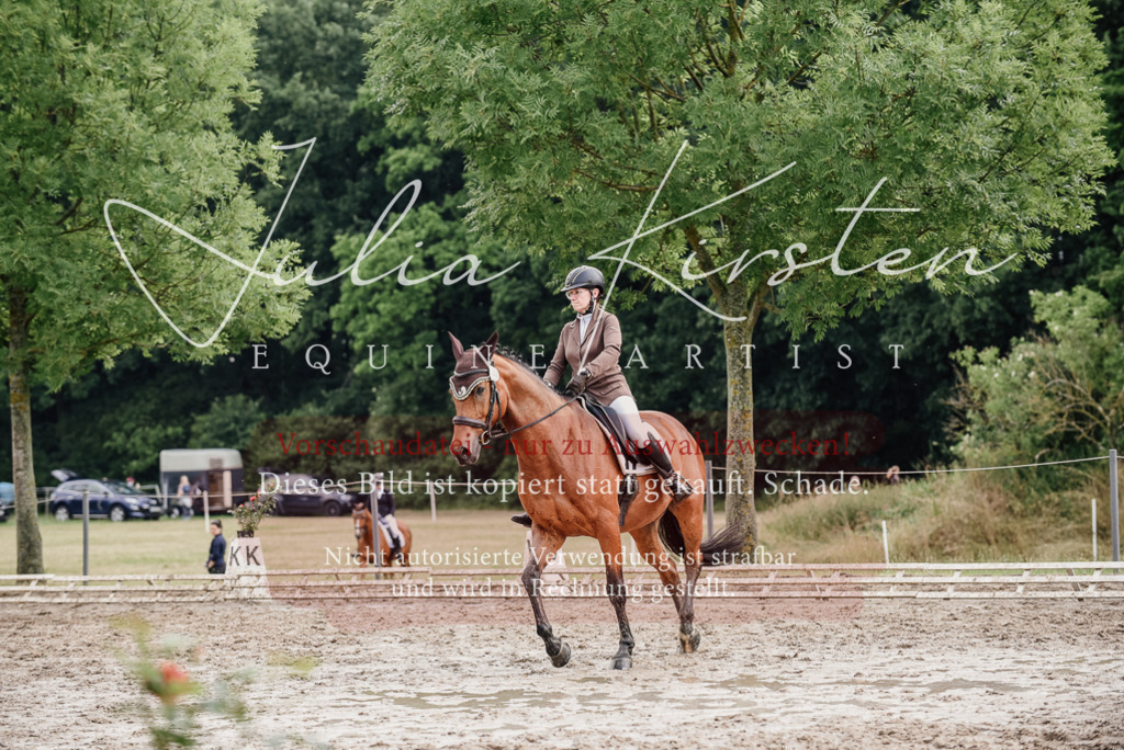 DSC_9532 | Pferde- und Turnierfotografie in Westsachsen. Pferdeportraits, Auftragszeichnungen und intuitive Kunst.