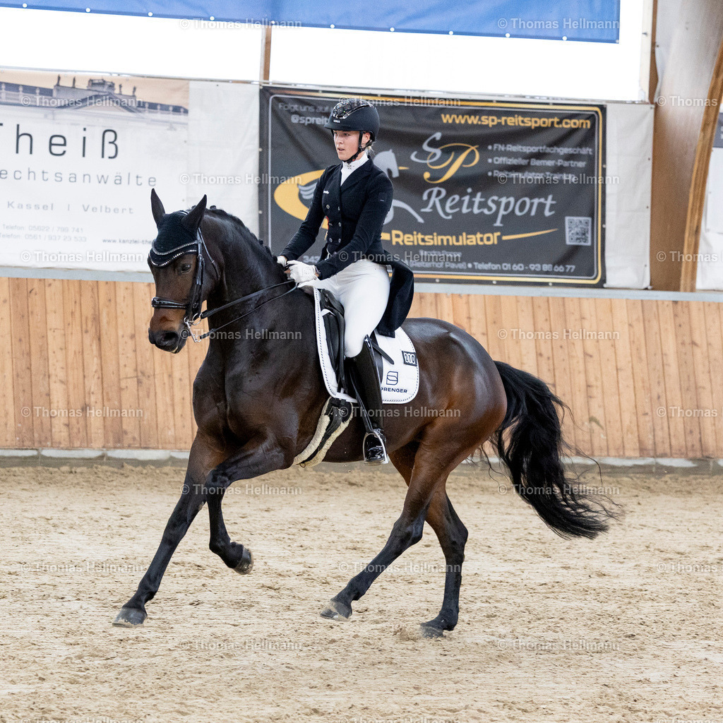 TH_210 Greta Busacker (GER)_ Frieda NRW_32320 | 210 Greta Busacker&nbsp;(GER), Frieda NRW beim Reitturnier Guxhagen-Dörnhagen 2025 am 10.10.25 in Dörnhagen, Reit- u. Fahrverein