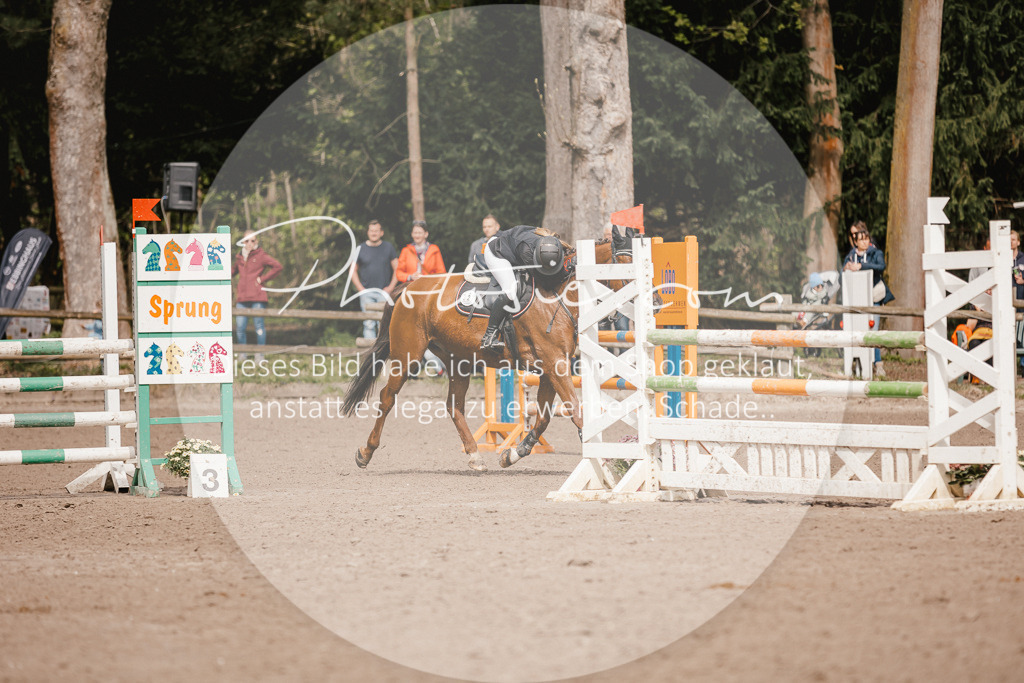 3I6A4205 | Stimmungsvolle Portraits und Reitsportfotografie im Ruhrgebiet und im Münsterland.

Pferdefotografie, Hundefotografie, Tierfotografie, Reportagen, Portraits von Tier und Mensch, Turnierfotografie in Bochum, Recklinghausen, Marl, Haltern am See, Dülmen.. - Realisiert mit Pictrs.com