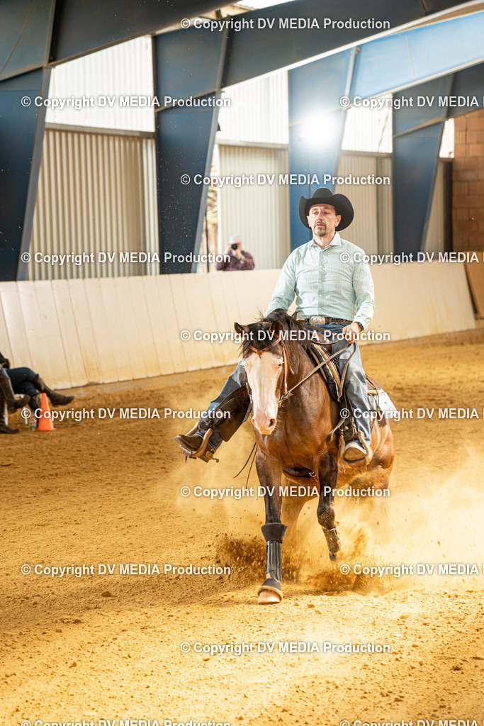 MIT00383 | dv-media-shop - Realisiert mit Pictrs.com