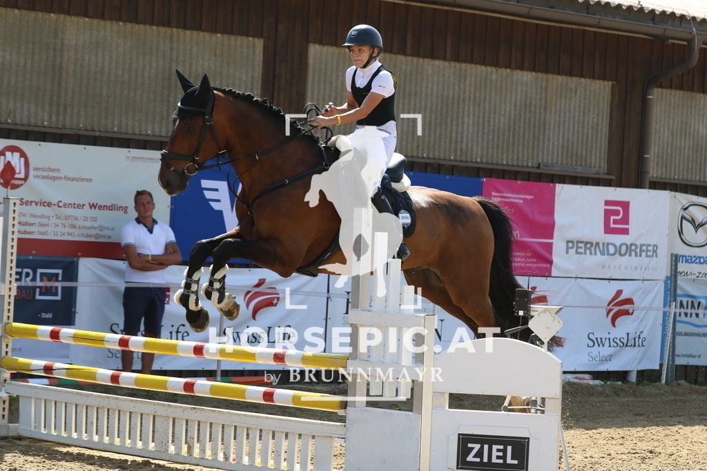 7V2A2868 | Willkommen bei Brunnmayr - Design & Fotografie – Ihrem Spezialisten für Reitturniere und Pferdeveranstaltungen in Oberösterreich, Salzburg und Bayern! Seit über 17 Jahren sind wir leidenschaftlich dabei.