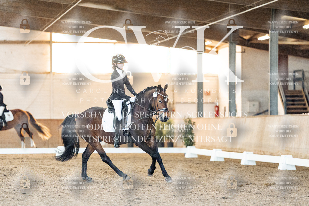 CK906602 | Turnierfotografie Pferdefotografie Trier Rheinland-Pfalz Pferdesport Reitsport Tierfotografie Sportfotografie Pferdevideo Pferdevideografie Equestrianvideography equestrianphotography  - Realisiert mit Pictrs.com