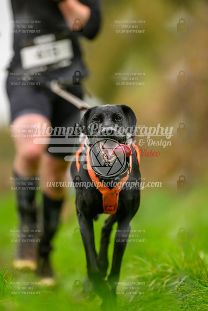 MompixPhotography_20TSB_E8_Run-142 | PayLife