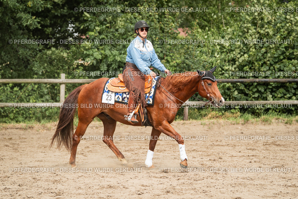 DSC03470 | Pferdegrafie