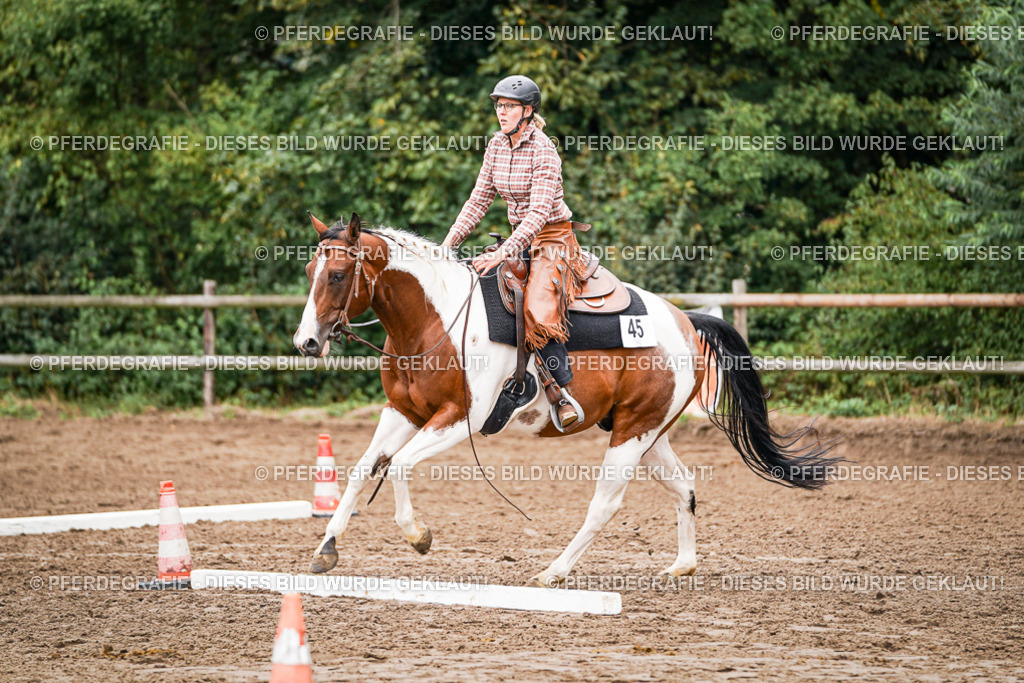 DSC04091 | Pferdegrafie