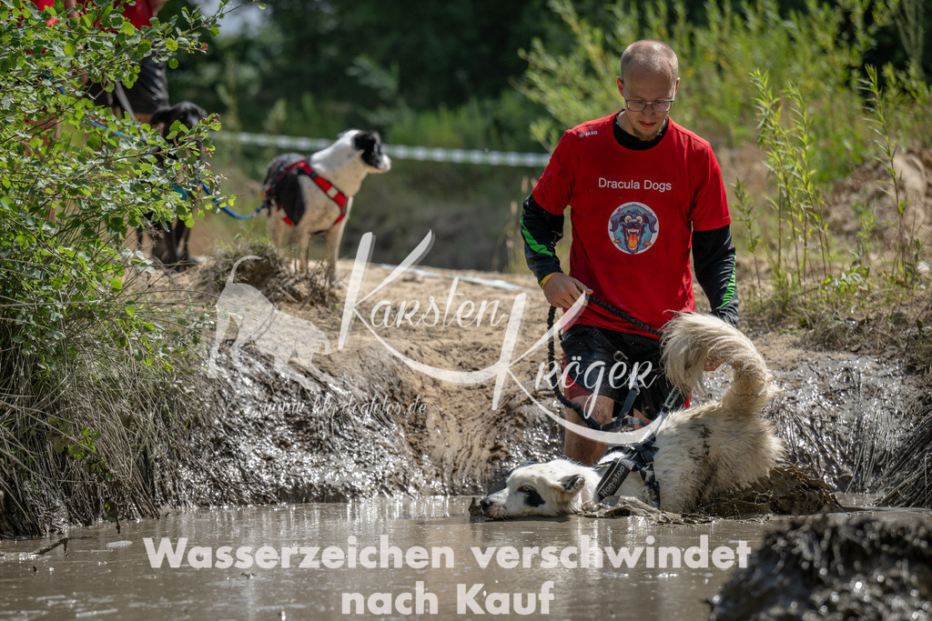 1506_ZZ92887 | kk-dogfotos
