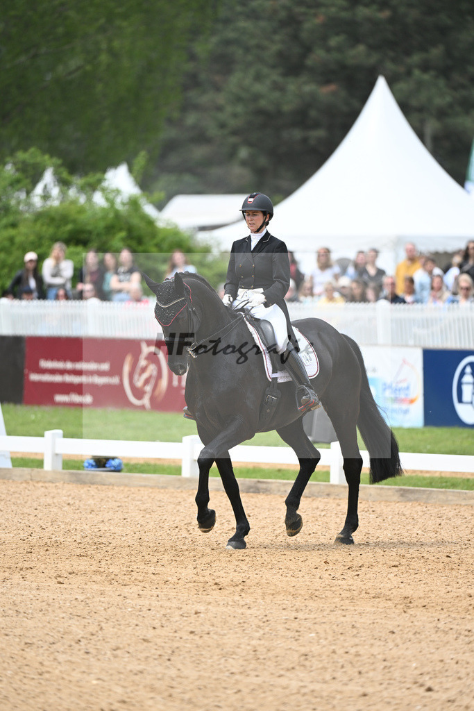 Meijs_Freddy Couples_11233467 | hf-fotografie - Realisiert mit Pictrs.com