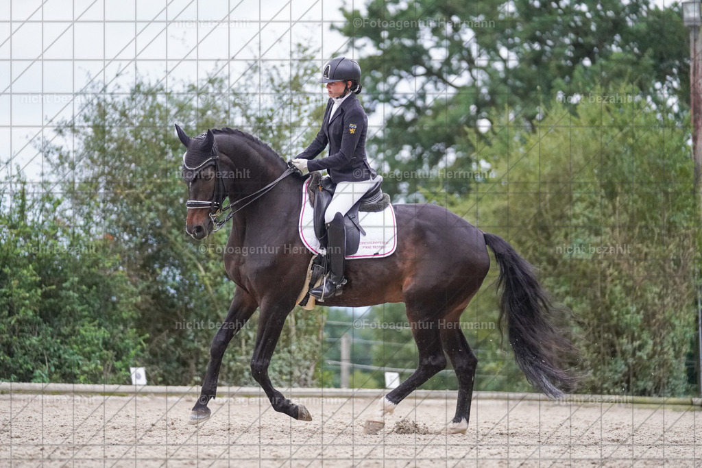 20230826-FAH06326 | Forstinning, 2023, Dressurturnier, Turniersportbilder, Turnierfotografen Bayern, Fotoagentur Herrmann, Reitsportfotografie, Turnierbilder