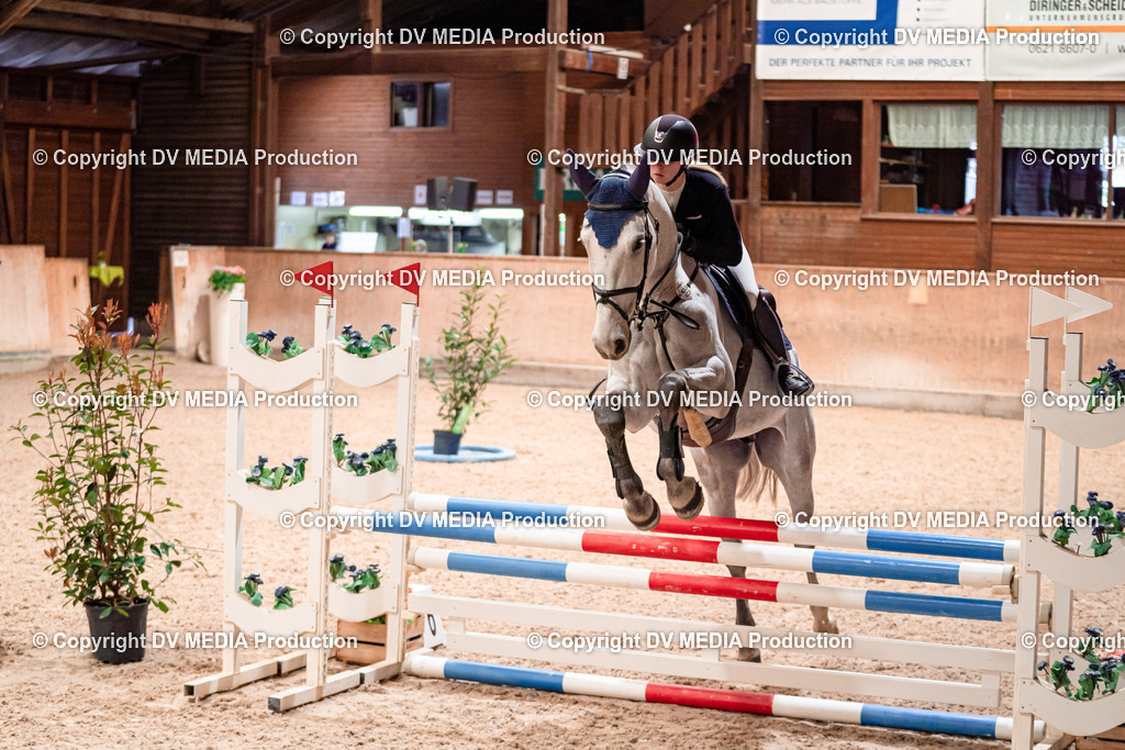 Springen Tag 1-40 | dv-media-shop - Realisiert mit Pictrs.com