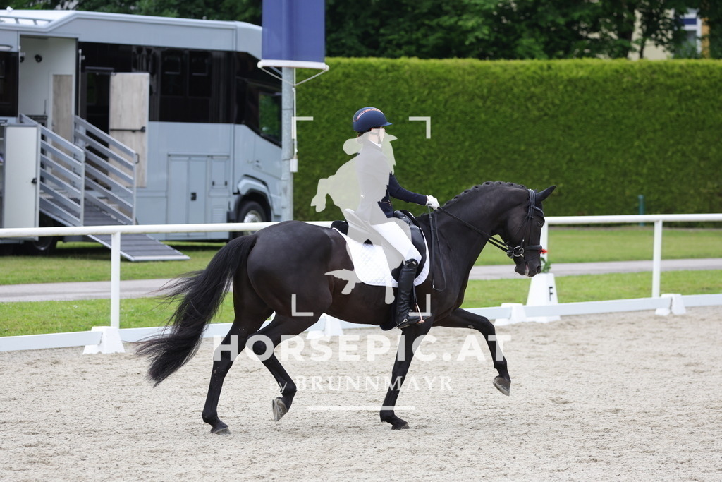 0P6A5521 | Willkommen bei Brunnmayr - Design & Fotografie – Ihrem Spezialisten für Reitturniere und Pferdeveranstaltungen in Oberösterreich, Salzburg und Bayern! Seit über 17 Jahren sind wir leidenschaftlich dabei.
