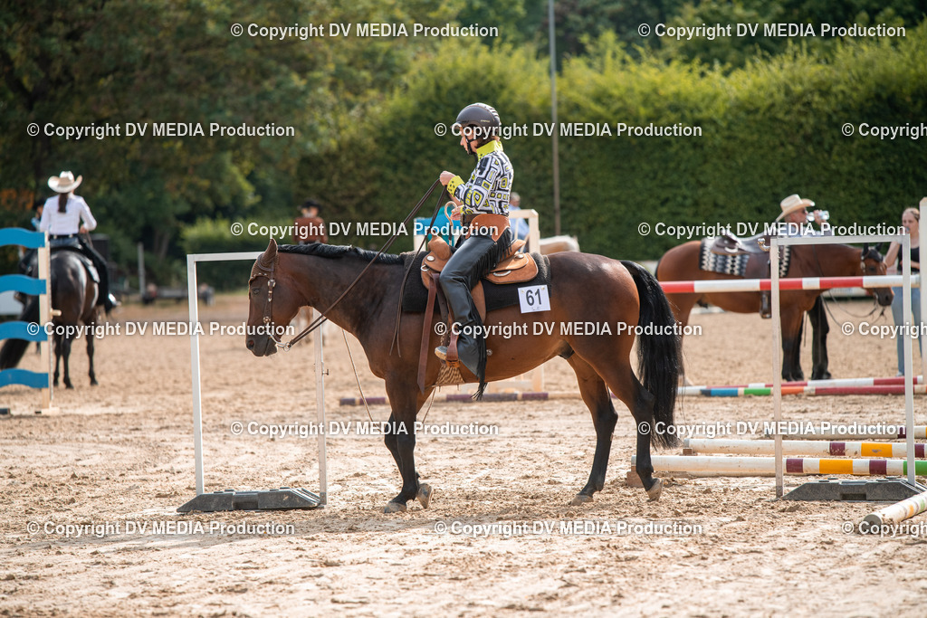 ZS3_9197 | dv-media-shop - Realisiert mit Pictrs.com