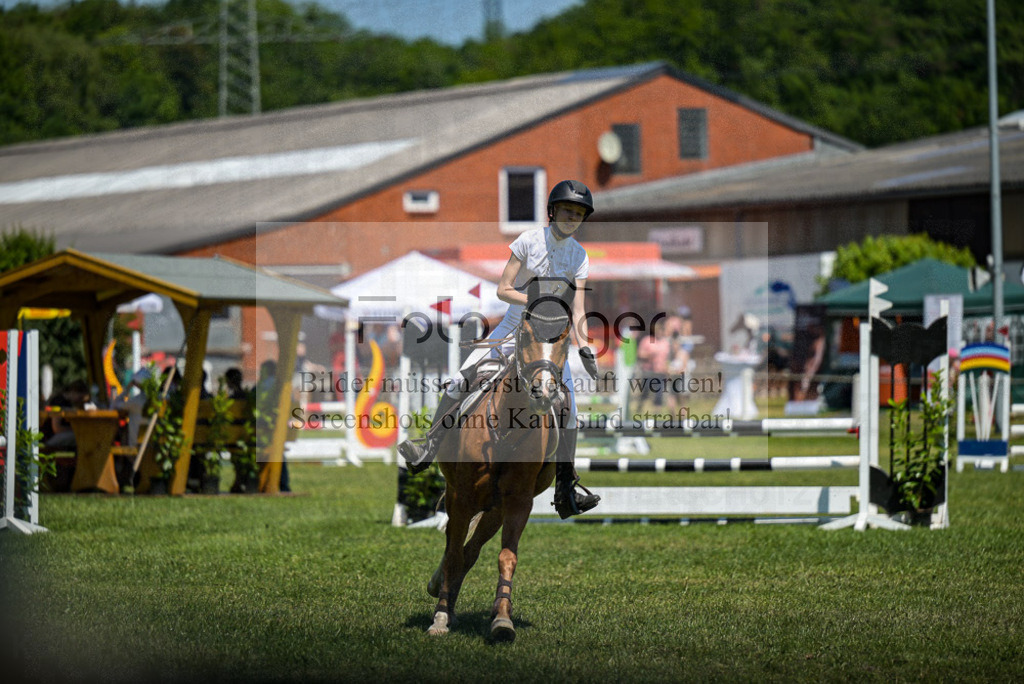 Reitturnier Voxtrup | Entdecke hochwertige Reitturnierfotos von Foto Oger. Professionell, emotional und authentisch – jetzt Lieblingsmomente im Shop bestellen.Deutschlandweite Turnierfotografie. - Realisiert mit Pictrs.com