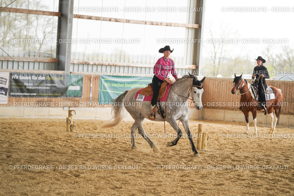 DSC04175 | Pferdegrafie