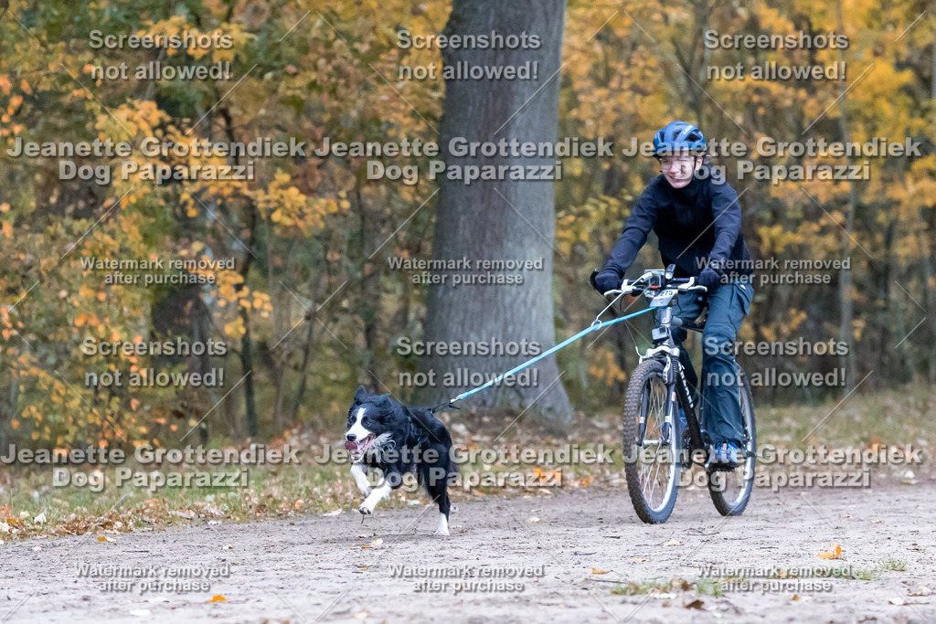 Dog Paparazzi - SD CaniX Championship 2025-288 | Dog Paparazzi Jeanette Grottendiek Fotografie & Videografie - Realisiert mit Pictrs.com