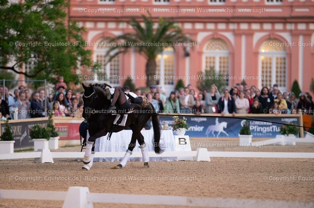 20230527_Voltigieren_NASPA_Flutlicht_0200 | equistock