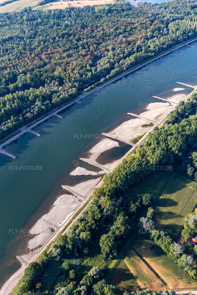 Luftbild: trockengefallene Buhnen und Sandbänke im Rhein wegen Niedrigwasser in Hagenbach im Bundesland Rheinland-Pfalz in Deutschland. Foto: IMG_133779.jpg vom 14.08.2022 durch Werner Riehm/FLY-FOTO.de