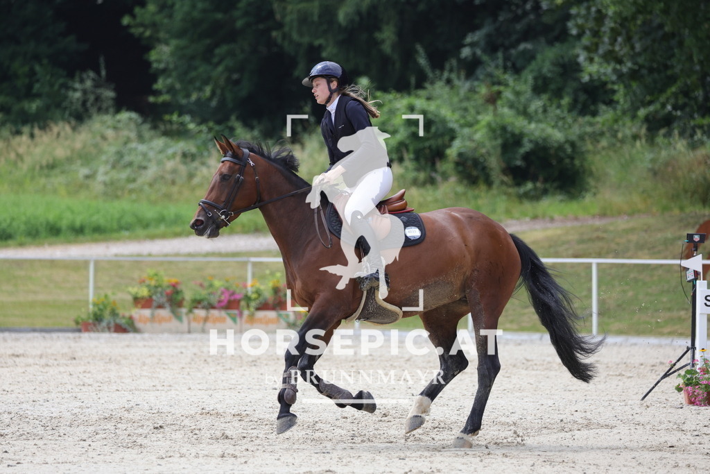 0P6A4635 | Willkommen bei Brunnmayr - Design & Fotografie – Ihrem Spezialisten für Reitturniere und Pferdeveranstaltungen in Oberösterreich, Salzburg und Bayern! Seit über 17 Jahren sind wir leidenschaftlich dabei.