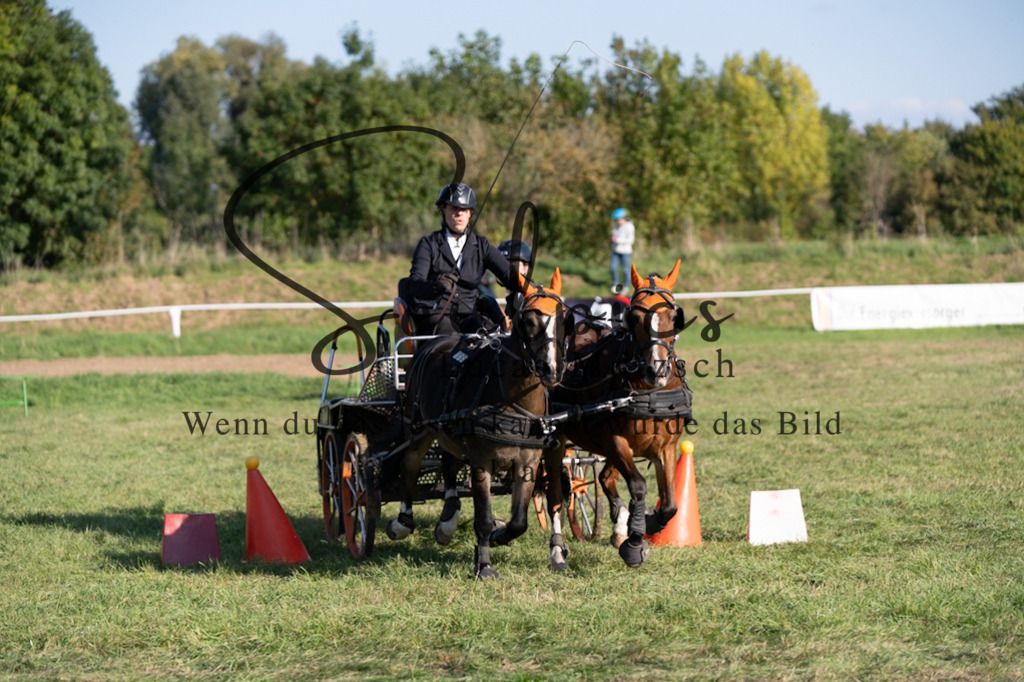 A7V04632 | Pferdefotograf